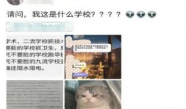 奇葩爆料网作品视频下载,独家视频下载攻略大公开